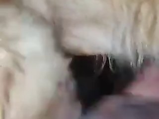 Araby Sexy Com