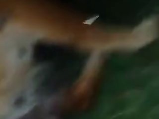 Araby Sexy Com
