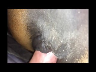 Hot Films Full