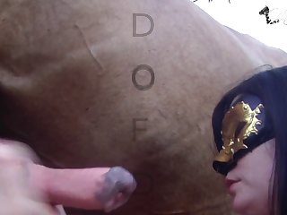 Vixen A Horse What Else 005