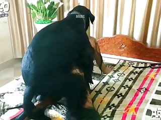 Kama Videos inda sex