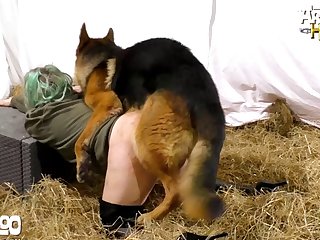 Video Oorn