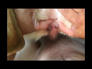 Hotwetpussy