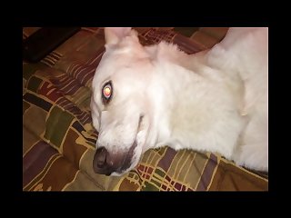 Xxx Porn Videos