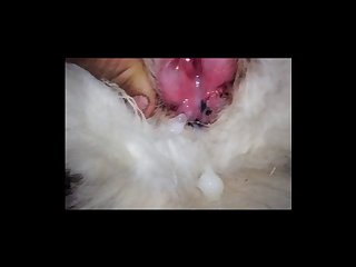 Free Xxx Porn