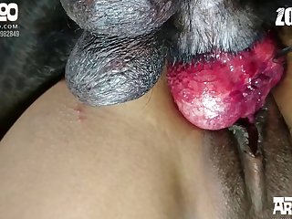 Porm You