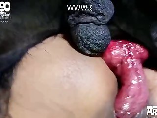 Nubilesporncom