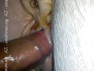 Free Xxx Porn Sites