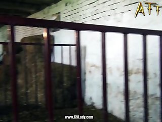 Netvideogirls Ariel