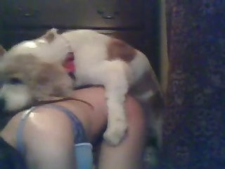 Webcam Lick Mount Young Brunette Spaniel