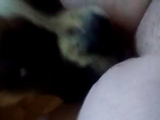 Dog Licking My Pussy