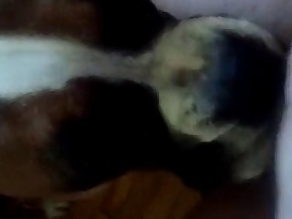Dog Licking My Pussy