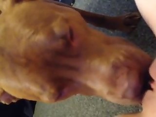 Max Licking