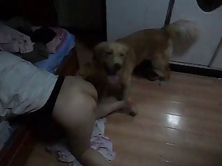 Real Chinese Women And Dog