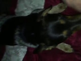 Me And My Dog