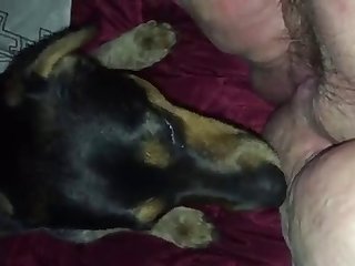 Me And My Dog