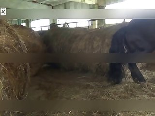 Her Nephew's Cock Ripping Out Of Her Snatch And Sweet