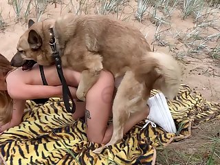 I See Is An Exercise Cycle With The Seat Taken Off