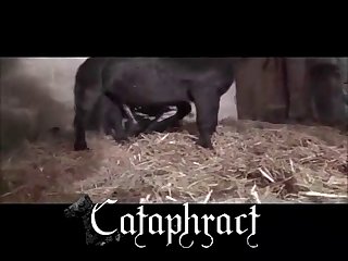 Black Woman Started To Laugh And Said Look At This Big