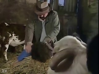 Wife Fucked In Barn Hd