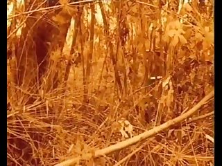 Embrujada 1969 Eng Subs On Veehd Hd