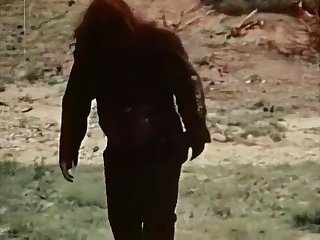 The Geek 1973 Hd
