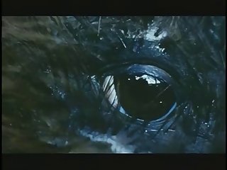 Walerian Borowczyk Le Bete Hd